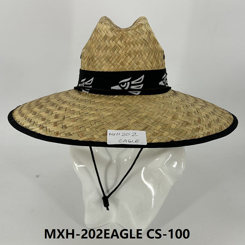 MXH-202EAGLE CS-100